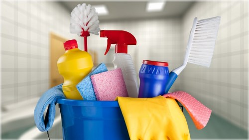 Professional steam carpet cleaning service in a Finsbury Park home interior
