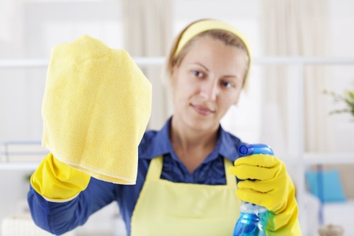 Rug stain treatment and fibre care for a family home