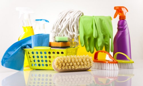 Local cleaner maintaining a flat in Finsbury Park