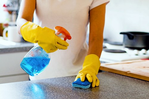 Local one-off cleaning service working in a Finsbury Park apartment building
