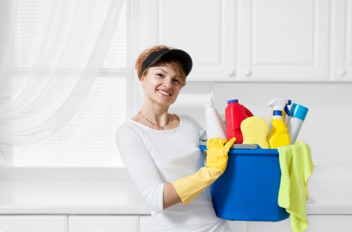 Window cleaning service for flats near Finsbury Park