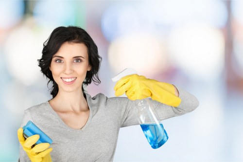 Detailed bathroom and kitchen move in cleaning in a North London property