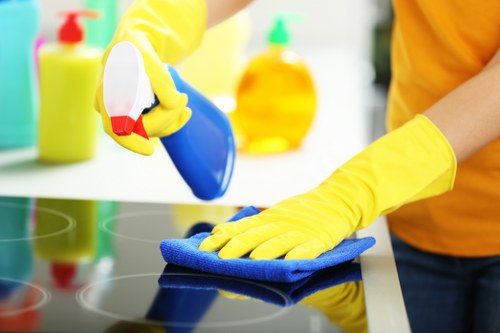 Gutter cleaning service for a commercial building near Finsbury Park