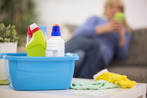 Supplier due diligence and audit process for cleaning services