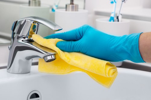 Regular domestic cleaning for a family home near Finsbury Park