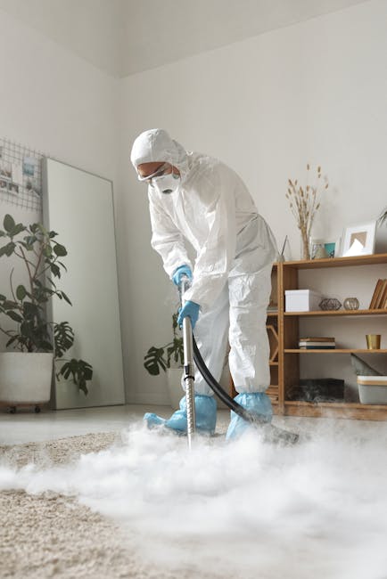 Close-up of a vacuum cleaner head actively deep cleaning a patterned area rug with floral motifs on a beige background. The vacuum cleaner features a black and grey design with a handle extending upward, operated by a person wearing grey trousers and white sneakers, partially visible in the background. The rug appears clean and well-maintained, with a slightly shiny surface indicating thorough cleaning. The scene is illuminated by soft, natural lighting, highlighting the intricate details of the carpet's design as part of a professional domestic cleaning session carried out by Finsbury Park Cleaner, which specializes in surface cleaning and sanitisation services for residential spaces.